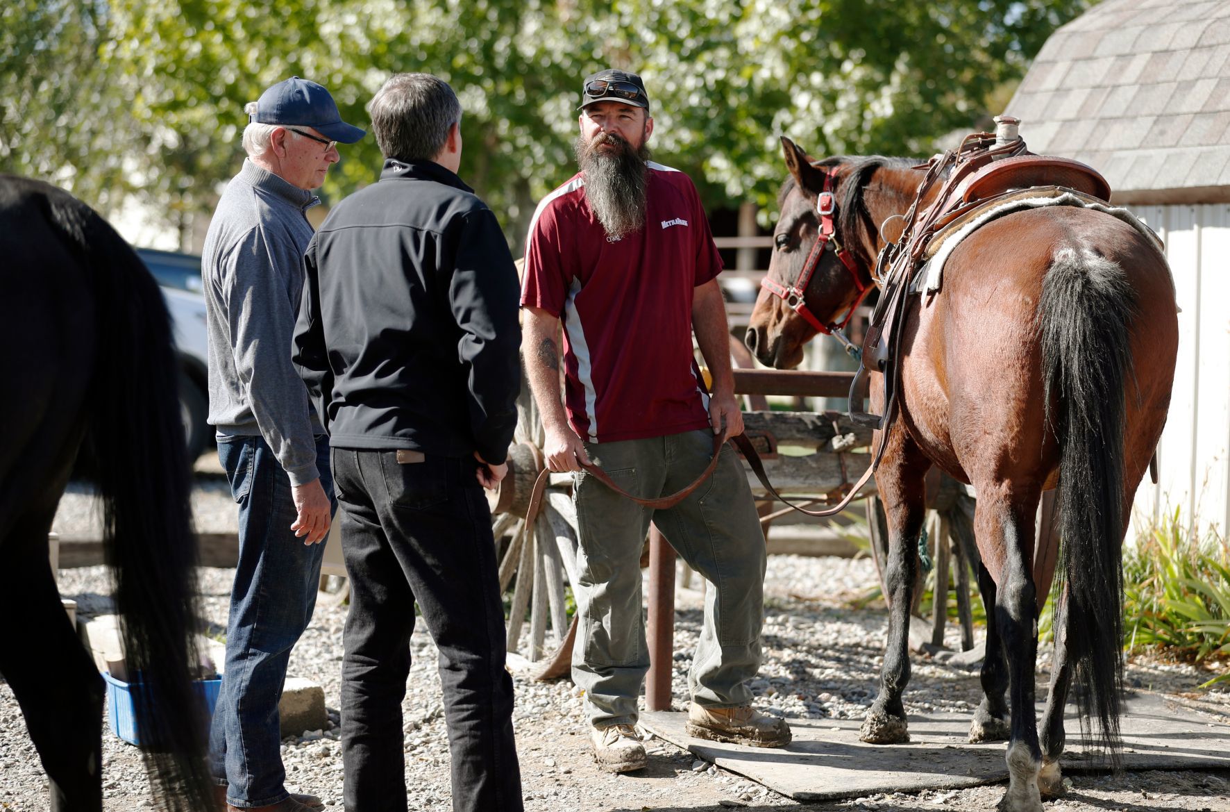Horses Spirits Healing